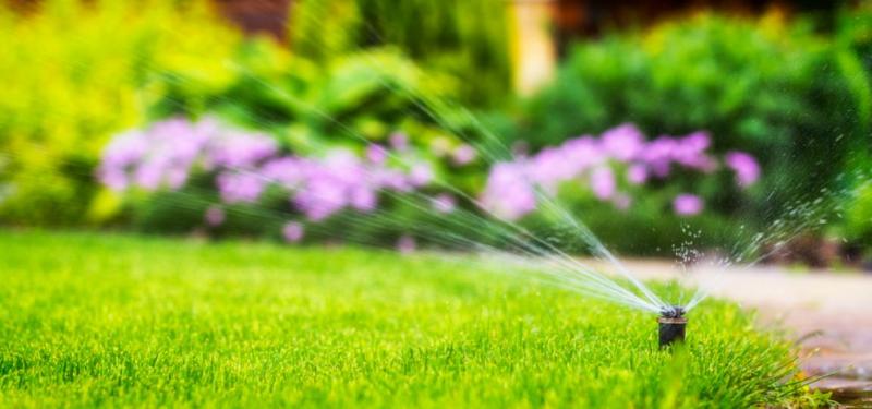 Un syst&egrave;me d'arrosage automatique change la fa&ccedil;on d'entretenir un jardin aux abords de Saint-Maximin-la-Sainte-Baume