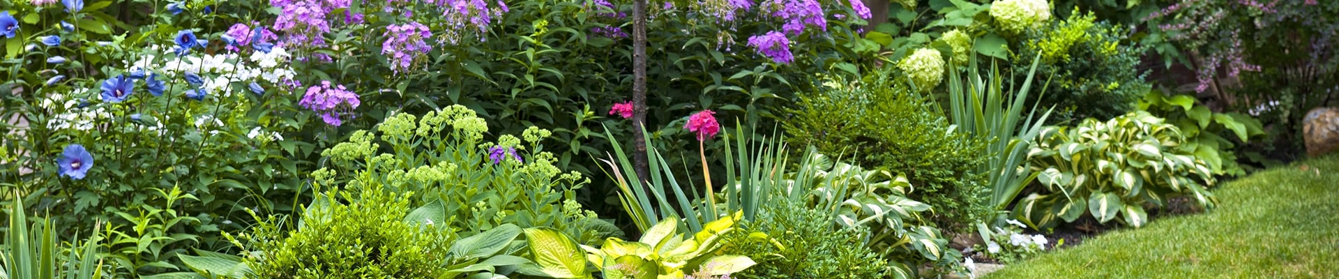 espaces verts jade